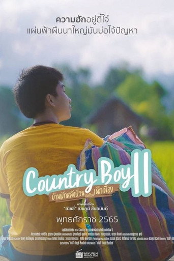 Country Boy 2 movie poster