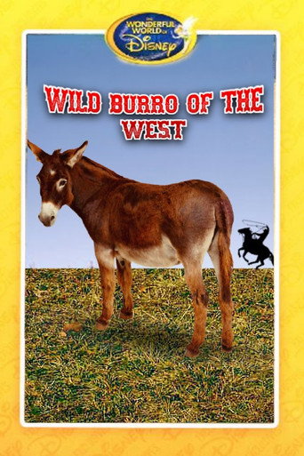Wild Burro of the West movie poster