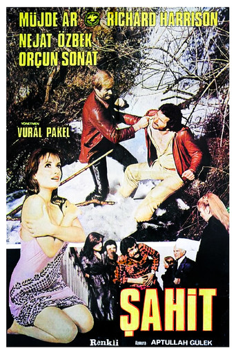 Şahit movie poster