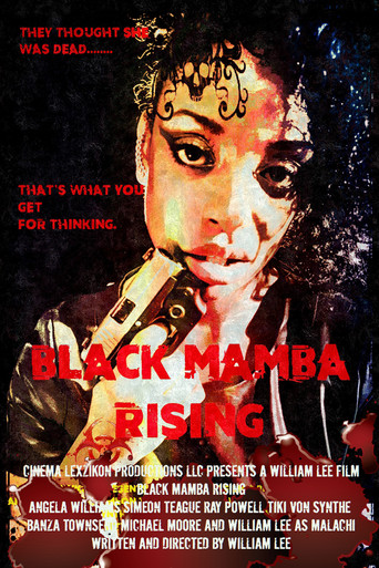 Black Mamba movie poster