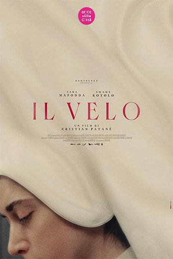 The Veil movie poster