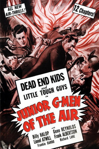 Junior G-Men of the Air movie poster