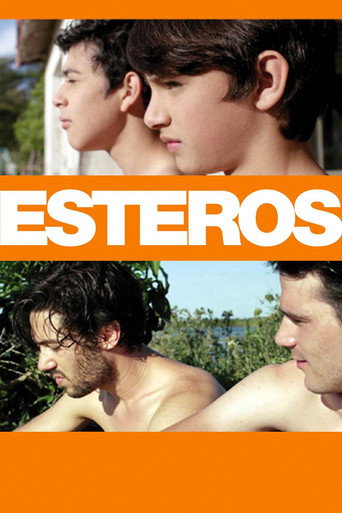 Esteros movie poster