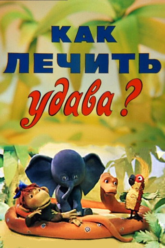 How to cure Boa? movie poster