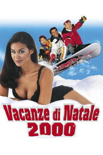Christmas Vacation 2000 movie poster