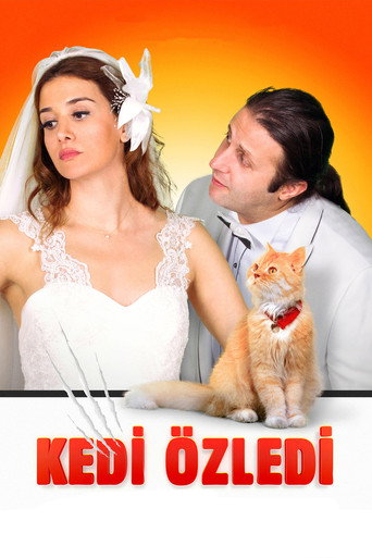 Kedi Özledi movie poster