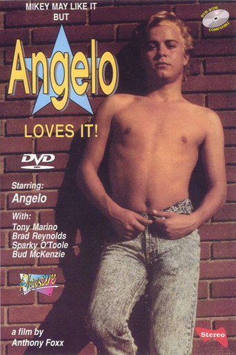 Mikey May Like It But Angelo Loves It movie poster