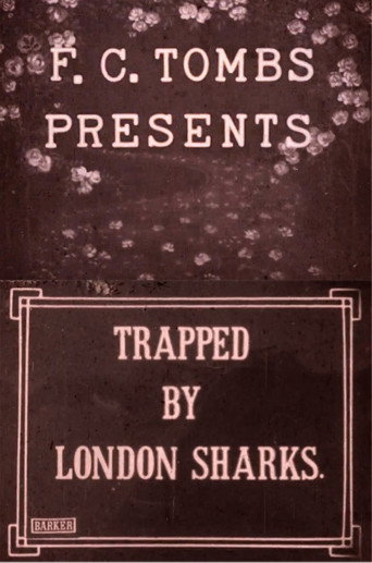 Trapped by London Sharks movie poster