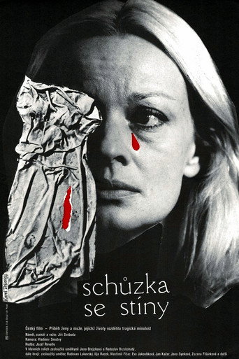 Schůzka se stíny movie poster