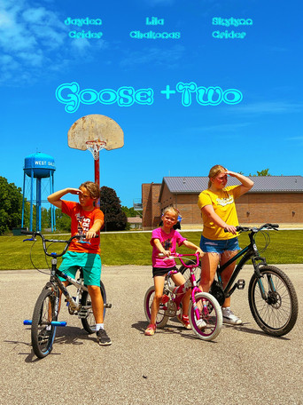 Goose + 2 movie poster