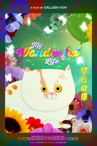 My Wonderful Life movie poster