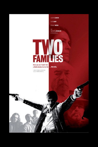 Two Families movie poster