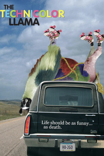 Technicolor Llama movie poster