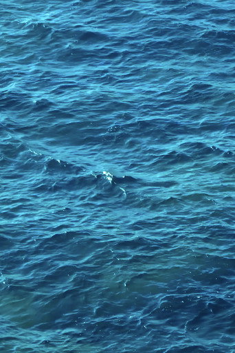 Desde la mar movie poster