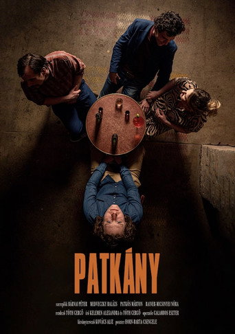 Patkány movie poster