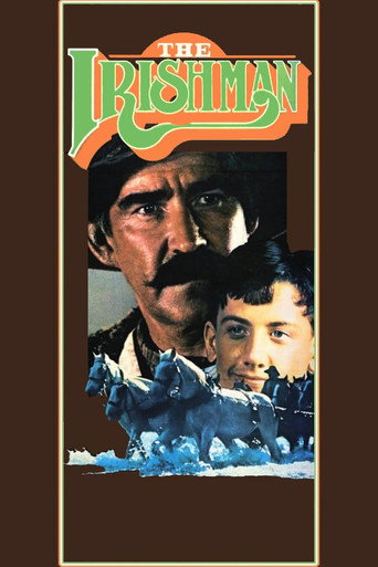 The Irishman movie poster