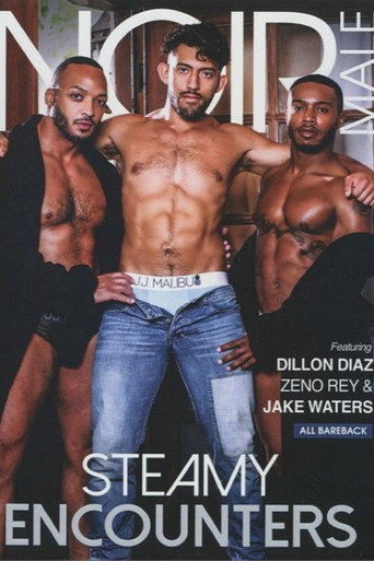 Steamy Encounters movie poster