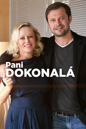 Pani Dokonalá movie poster