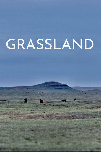 Grassland movie poster