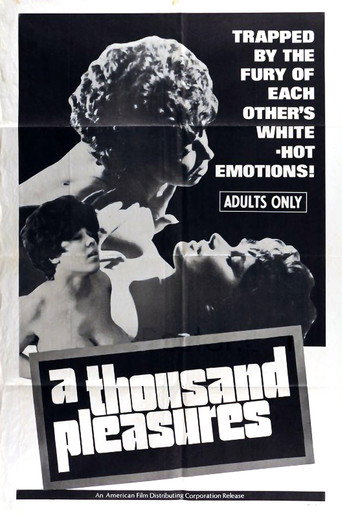 A Thousand Pleasures movie poster