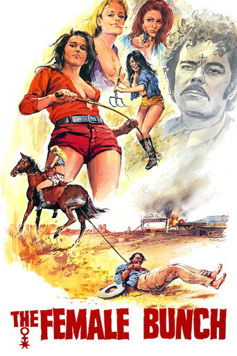 The Female Bunch movie poster