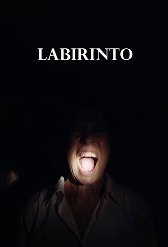 Labirinto movie poster