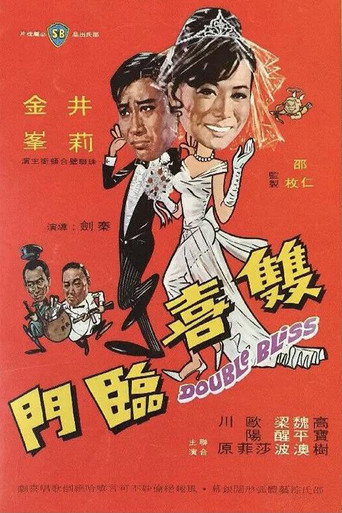 Double Bliss movie poster