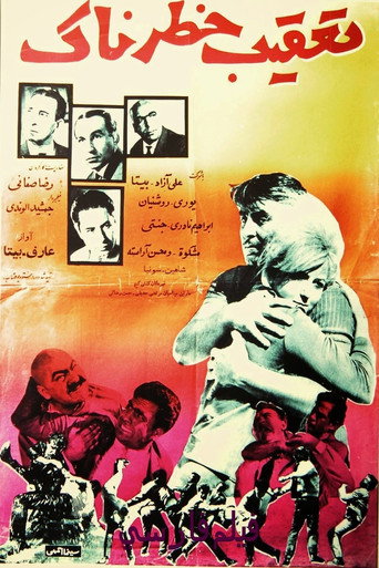 A Dangerous Pursuit movie poster