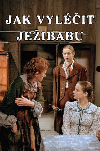 Jak vyléčit Ježibabu movie poster