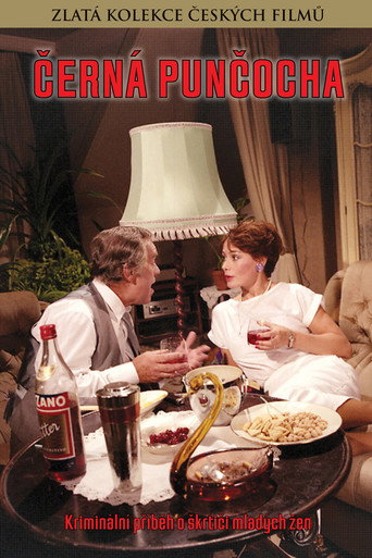 Černá punčocha movie poster