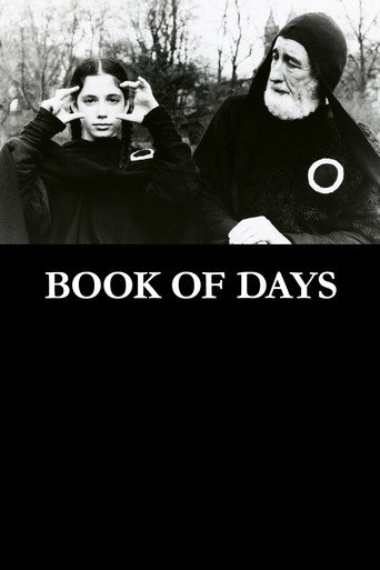 Book of Days movie poster