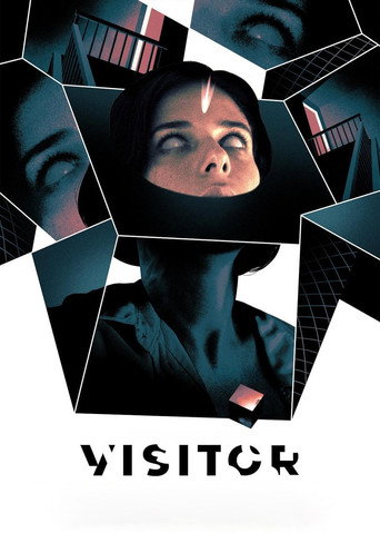 Visitor movie poster