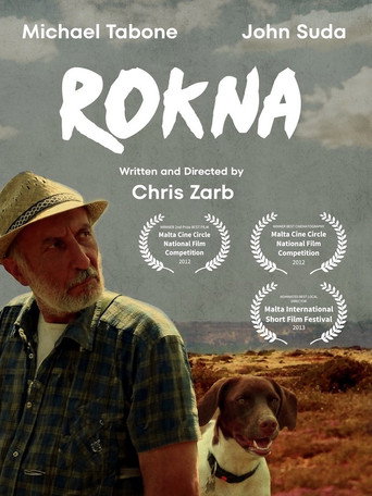 Rokna movie poster