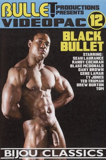 Bullet Videopac 12: Black Bullet movie poster