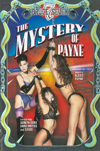 Mystery of Payne movie poster