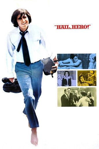 Hail, Hero! movie poster