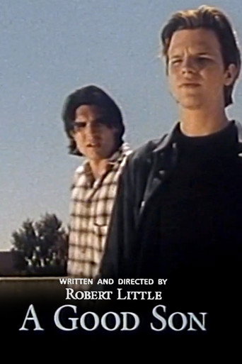 A Good Son movie poster