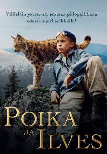 Tommy and the Wildcat movie poster