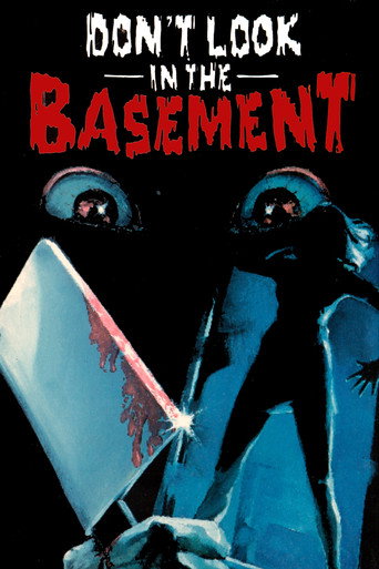 Don't Look in the Basement movie poster