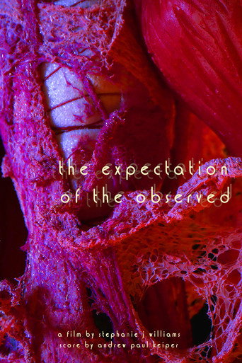 The Expectation of the Observed movie poster