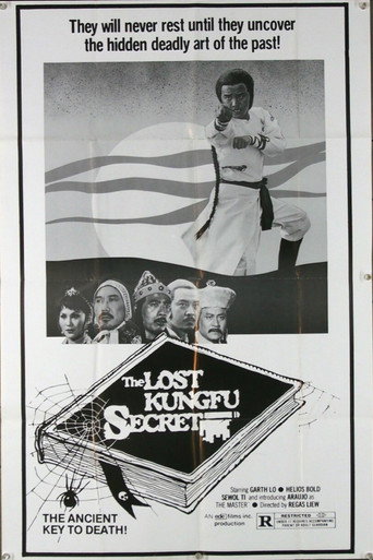 The Lost Kung Fu Secrets movie poster