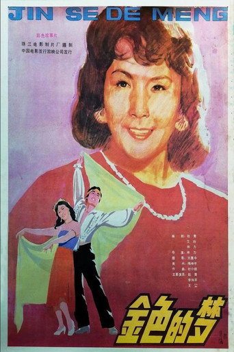 Jin se de meng movie poster
