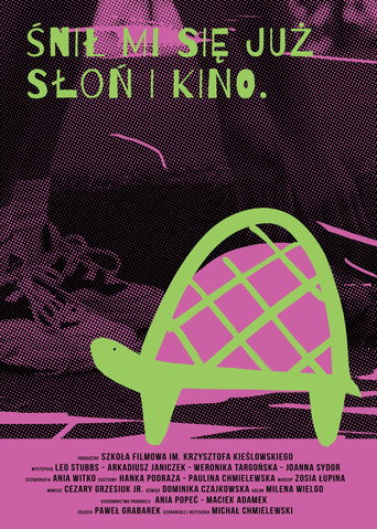 Ravik the Steppe Turtle movie poster