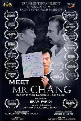 Meet Mr. Chang movie poster