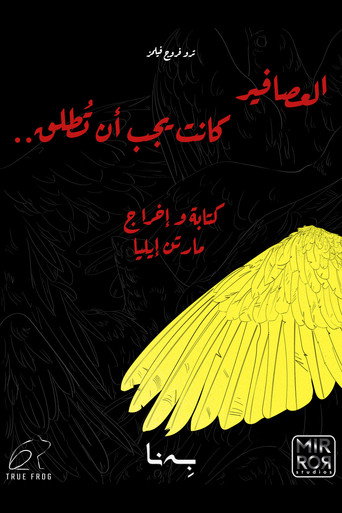 Birds Should Have Been Released movie poster