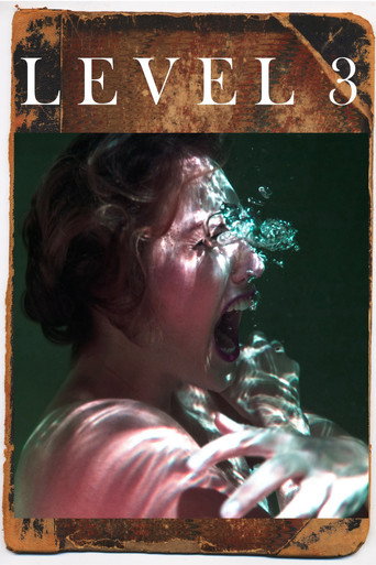 Level 3 movie poster