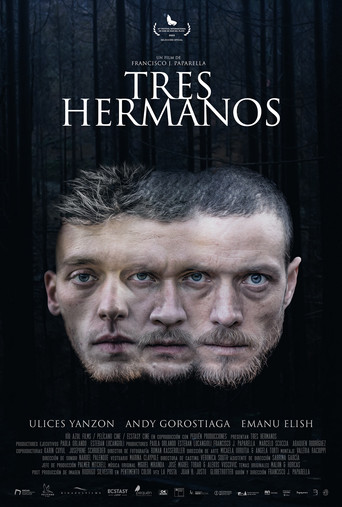 Three Brothers movie poster