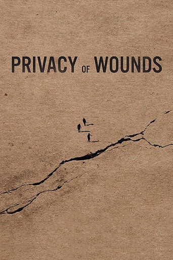 Privacy of Wounds movie poster