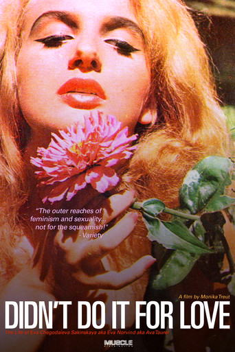 Didn't Do It For Love movie poster