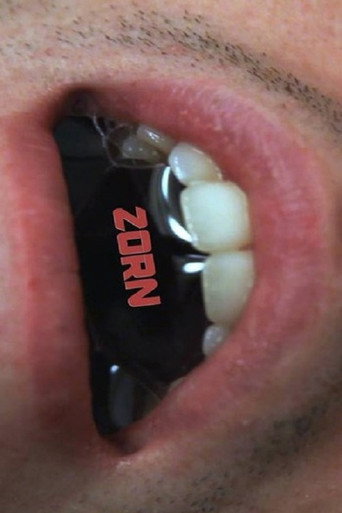Zorn movie poster